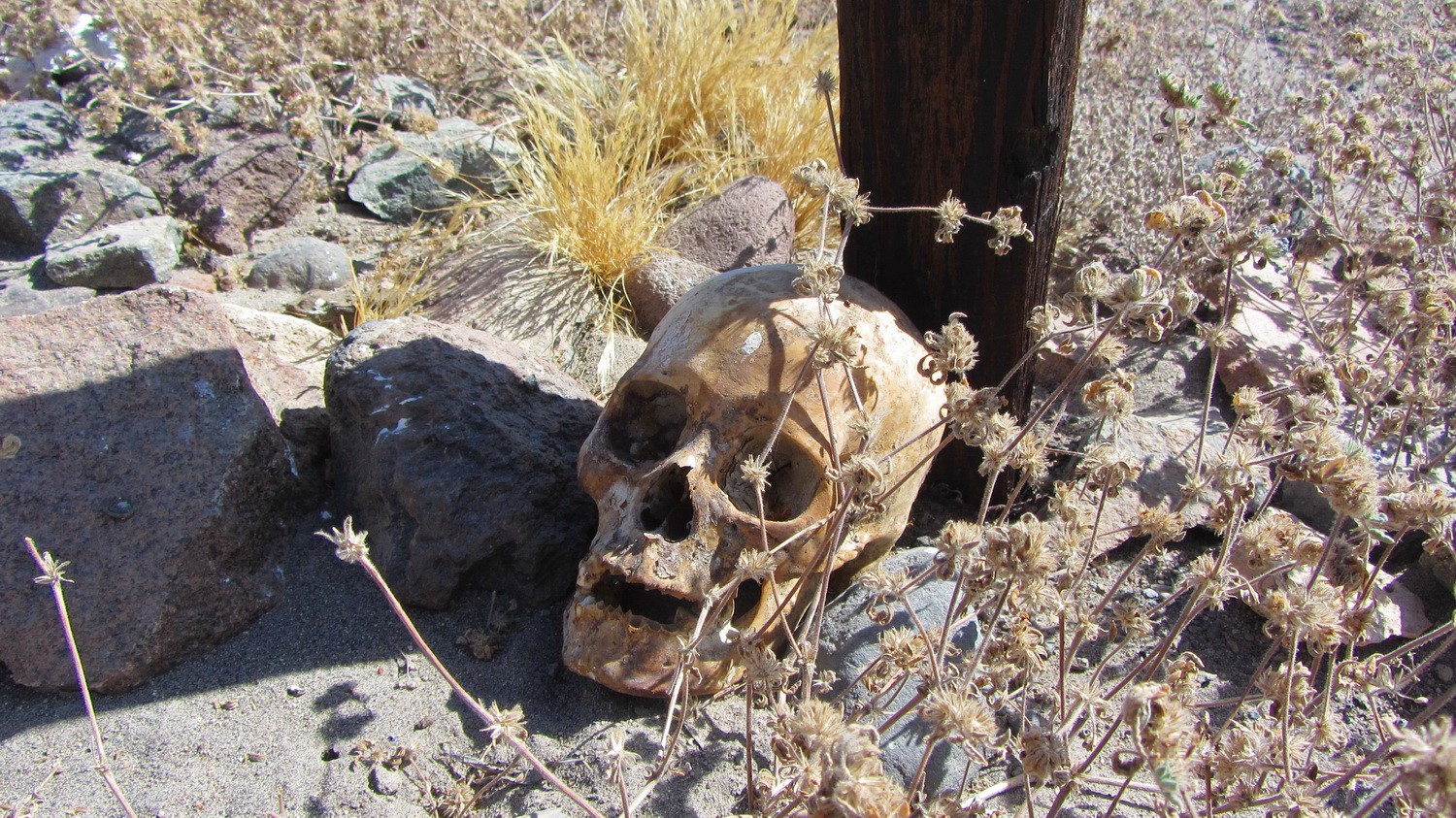 Grave with skull in Uchumayo